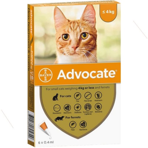 ADVOCATE mèo&lt;4kg